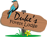 Duke's Forest Lodge