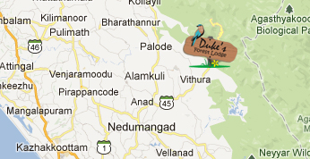 Duke's Forest Lodge Location Map